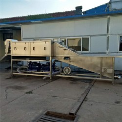 全自動洗姜機器 廠家定制洗姜設備 生姜清洗機