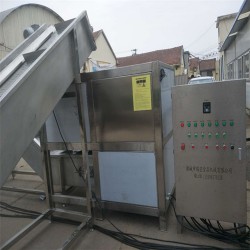 凍盤破碎機 破碎絞肉一體機 破碎提升生產(chǎn)線