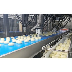 速凍包子裝托裝袋柔性自動(dòng)化包裝生產(chǎn)線