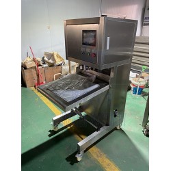 單頭無菌BIB盒中袋灌裝機(jī)設(shè)備果汁飲料、濃縮果汁