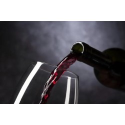 45°仰望葡萄酒時，你到底在觀察些什么？