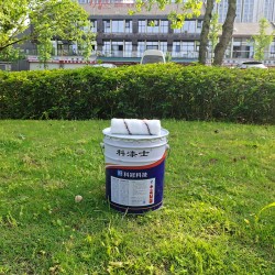 重慶耐高溫漆廠家批量供應(yīng)/耐溫600℃